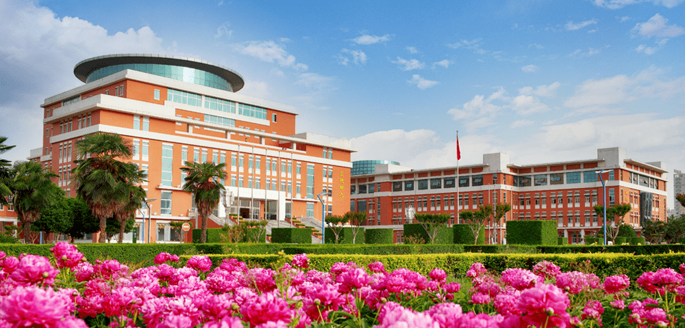 985变野鸡大学?只因深藏小县城