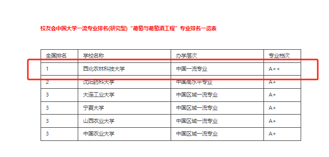 985变野鸡大学?只因深藏小县城