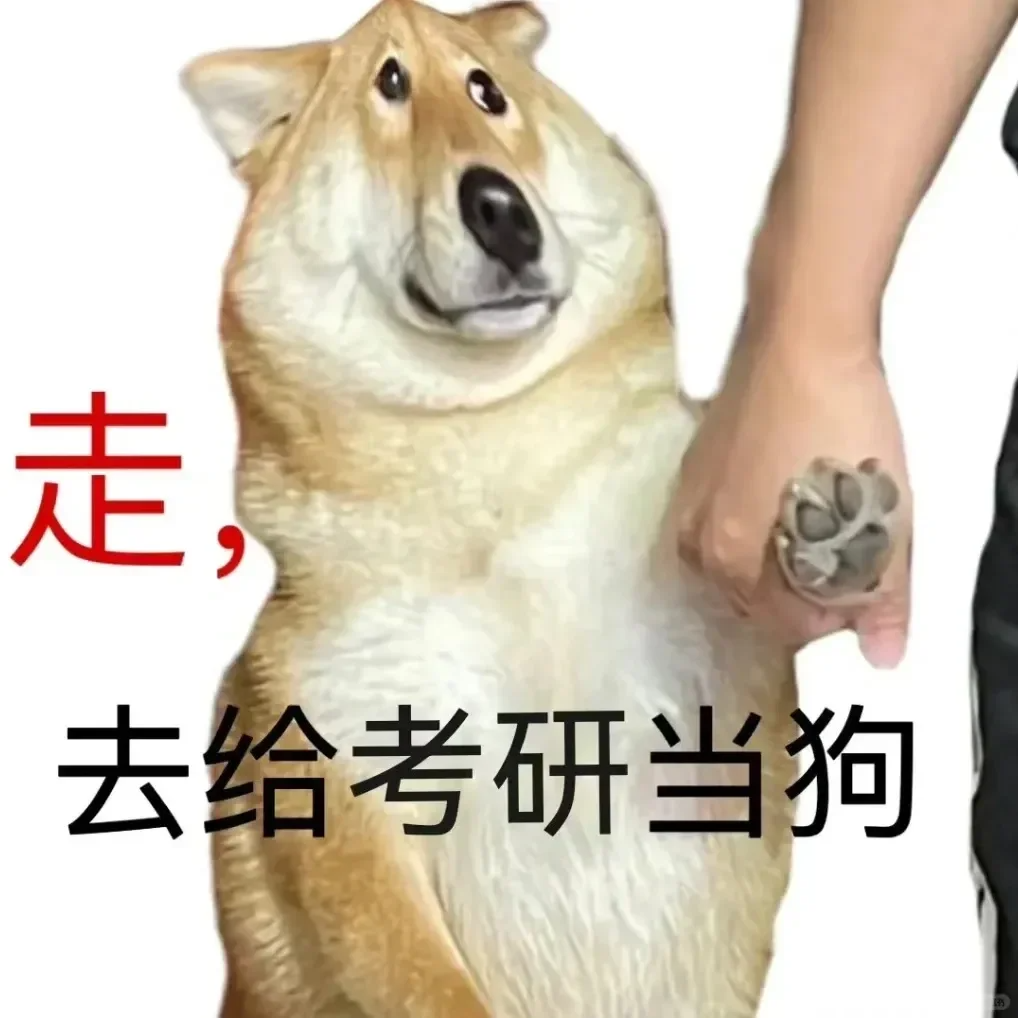 笑不活了~“传单式通知书”!怎么会有人的通知书长这样啊~